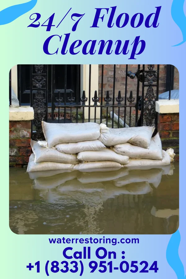 24/7 Flood Cleanup in Aurora Springs, MO