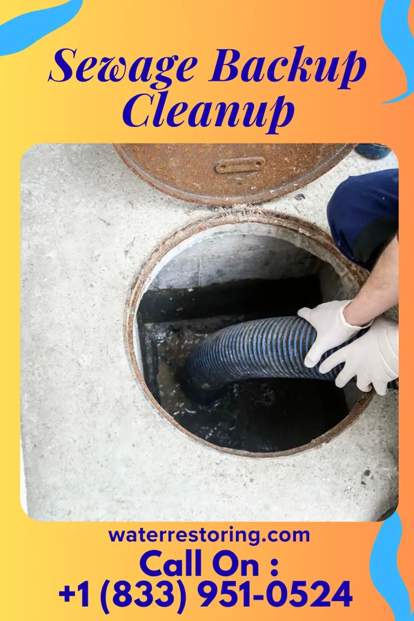 Sewage Backup Cleanup in Aurora Springs, MO