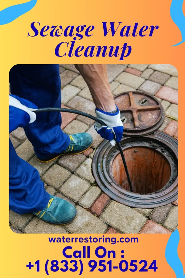 Sewage Water Cleanup in Aurora Springs, MO
